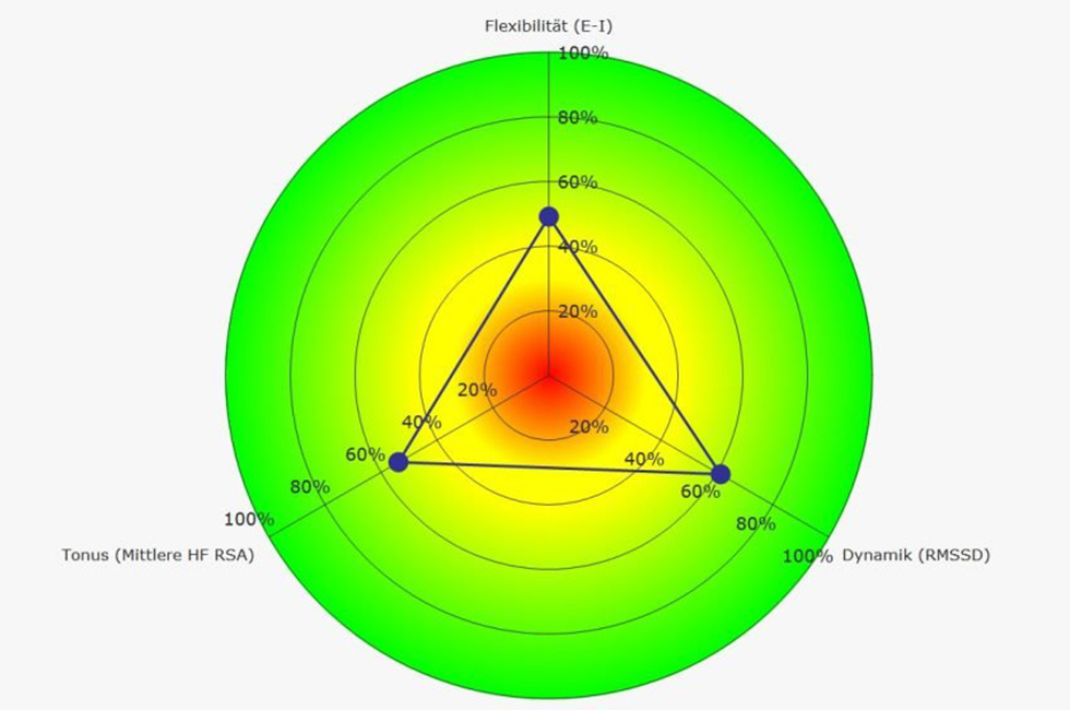 Beispieldarstellung eines HRV-Diagramms. (Quelle: Biosign GmbH)