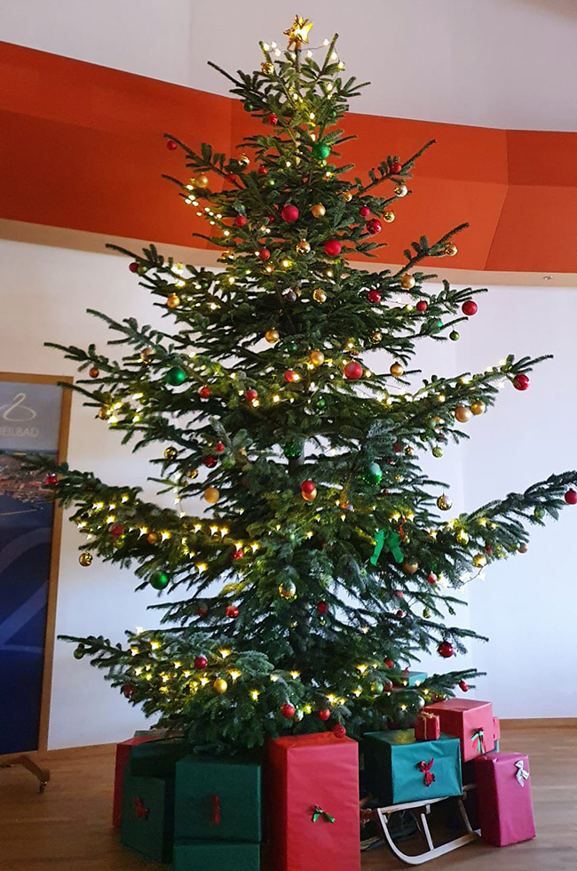 Der Weihnachtsbaum im Kurzentrum ist bereit, mit den Spenden-Sternen geschmückt zu werden.